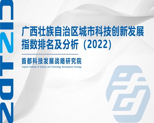 美女被操逼【成果发布】广西壮族自治区城市科技创新发展指数排名及分析（2022）